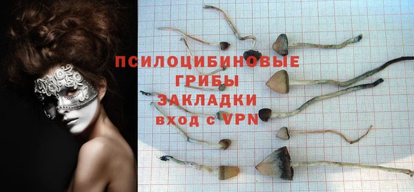 не бодяженный Тында