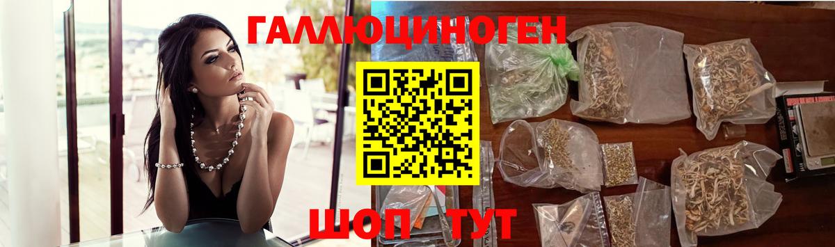 Галлюциногенные грибы Psilocybe  Вход с VPN  Горячий Ключ 